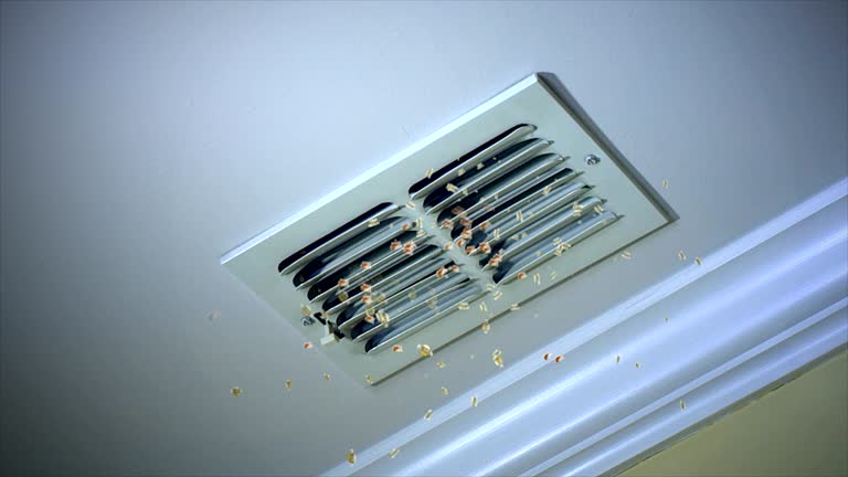 Best Air Duct Cleaning Near Me  in Guerneville, CA