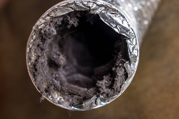 Best Affordable Duct Cleaning Services  in Guerneville, CA