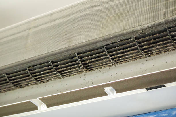 Best Professional Duct Cleaning Services  in Guerneville, CA